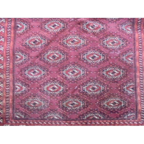 52 - A Bokhara rug, decorated with elephant foot motifs, on a red ground  50