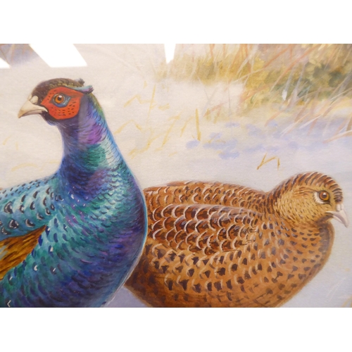 85 - Richard Robjent - pheasants and a woodcock in a winter landscape  watercolour  bears a sig... 