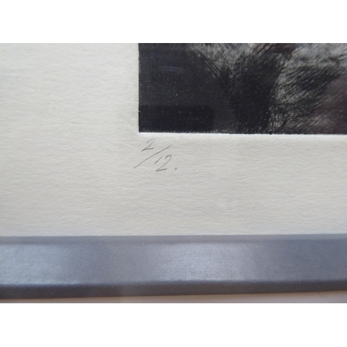 97 - After John MacFarlane - a series of three abstracts monochrome etchings  bearing pencil signatu... 