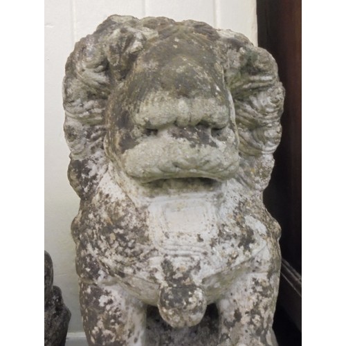 78 - A pair of Chinese carved, weathered marble, seated Lion Dogs, on plinths  20