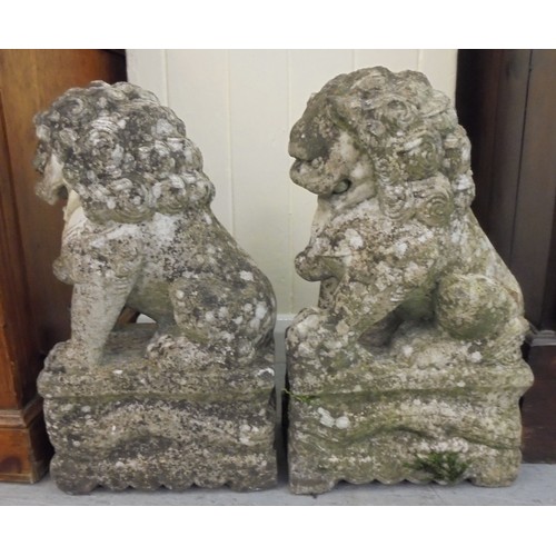 78 - A pair of Chinese carved, weathered marble, seated Lion Dogs, on plinths  20