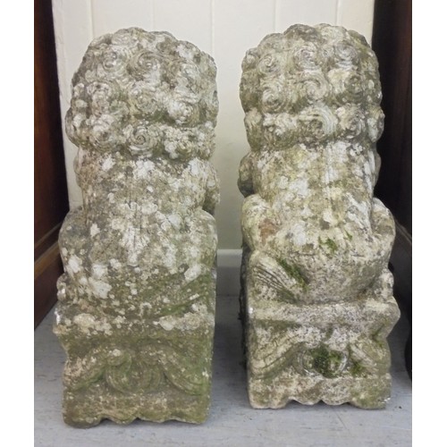 78 - A pair of Chinese carved, weathered marble, seated Lion Dogs, on plinths  20