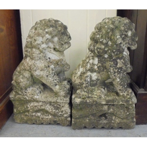 78 - A pair of Chinese carved, weathered marble, seated Lion Dogs, on plinths  20