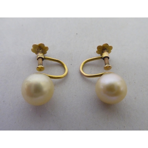 193 - A pair of pearl set, 9ct gold screw-back earrings