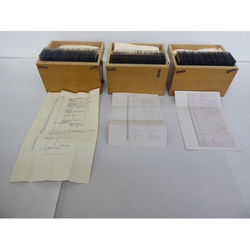 380 - Three boxes of early 20thC photographic negatives: to include scenes of Barbados 