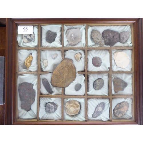 95 - Unidentified gemstones and fossils 