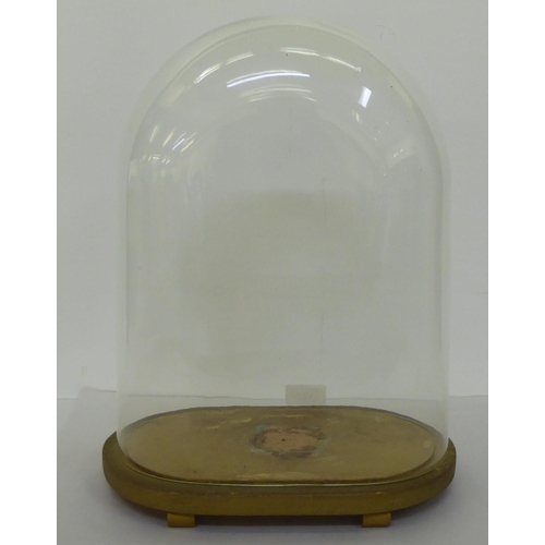 122 - A clear glass oval display dome, on a gilded platform  16