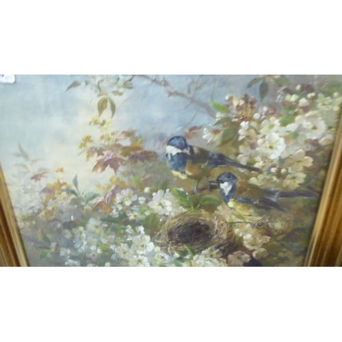 159 - Framed pictures and prints: to include two nesting birds  oil  15