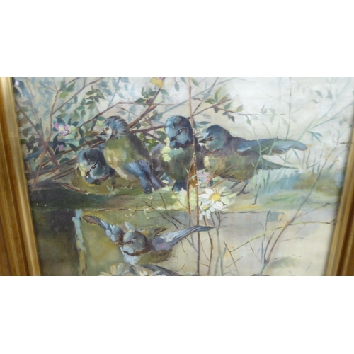 159 - Framed pictures and prints: to include two nesting birds  oil  15