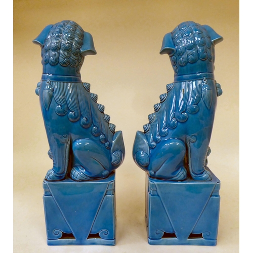 22 - A pair of modern Chinese turquoise glazed Dogs of Fo, on attendant plinths  14.5