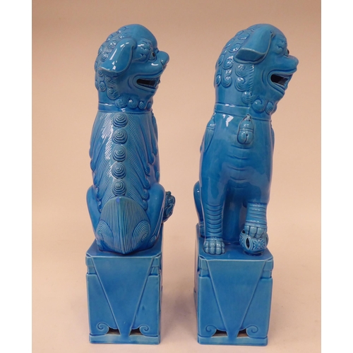 22 - A pair of modern Chinese turquoise glazed Dogs of Fo, on attendant plinths  14.5