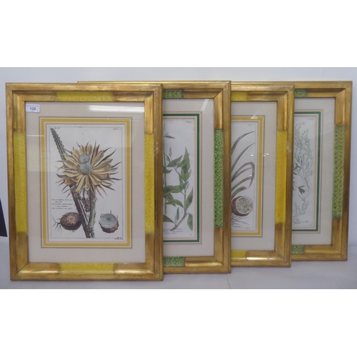 120 - A series of four dissimilar reproductions of 19thC coloured botanical prints  13