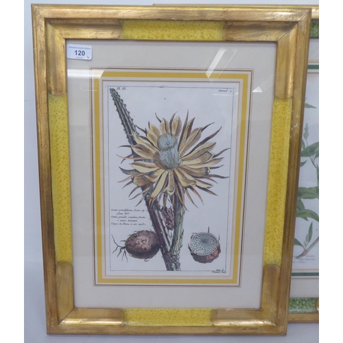 120 - A series of four dissimilar reproductions of 19thC coloured botanical prints  13