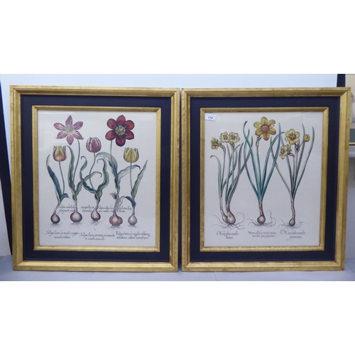 174 - A pair of 19thC style botanical prints  20