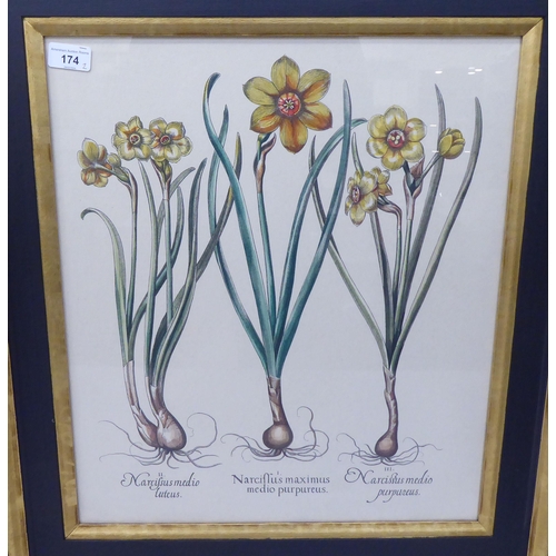 174 - A pair of 19thC style botanical prints  20