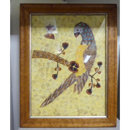 229 - An early 20thC butterfly wingware picture, a parrot  15