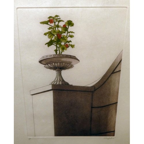 239 - After Graham Greenfield - four floral studies  Limited Edition of 100 prints  12