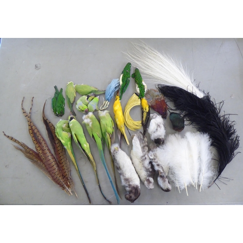 123 - Vintage millinery decorations: to include parrots and various feathers, contained in a contemporary ... 