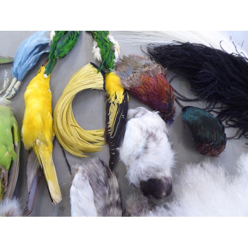 123 - Vintage millinery decorations: to include parrots and various feathers, contained in a contemporary ... 