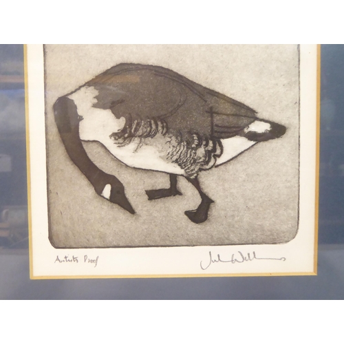 153 - After Julian Williams - a goose  Artist Proof  bears a pencil signature  6
