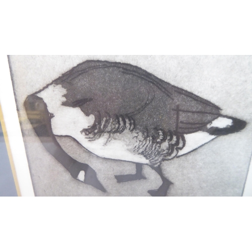 153 - After Julian Williams - a goose  Artist Proof  bears a pencil signature  6