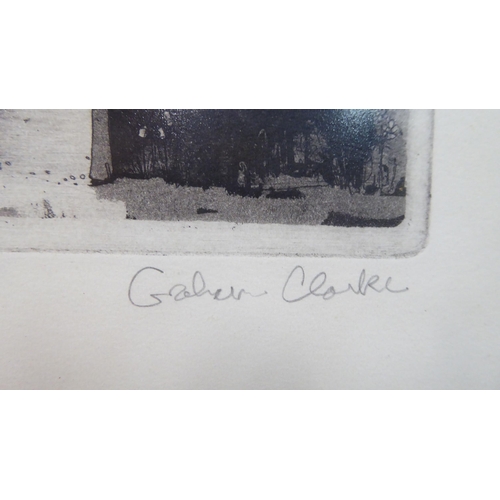 155 - After Graham Clarke - 'Sunflowers'&nbsp; Limited Edition 80/100 monochrome print&nbsp; bears a penci... 