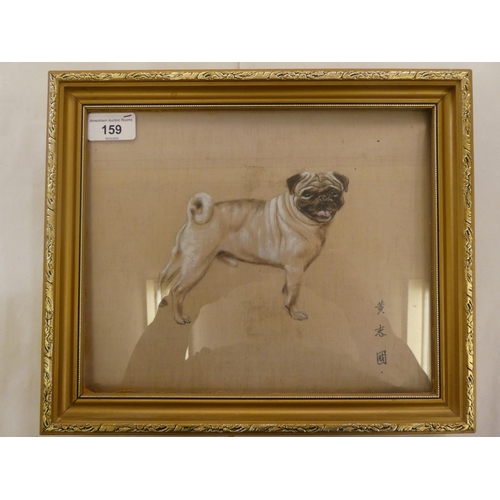 159 - Mid 20thC Chinese School - a study of a pug dog  bodycolour & oil on silk  bears a three charact... 