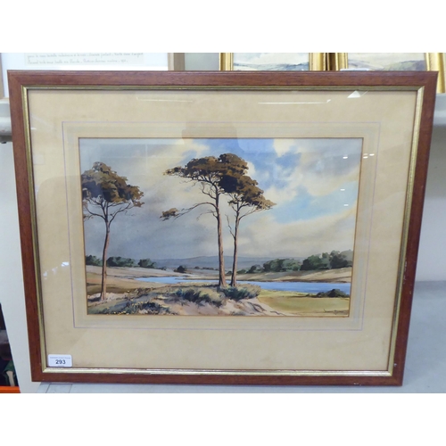 293 - Winston Megoran - an open landscape  watercolour  bears a signature  11