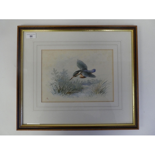 86 - Early 20thC British School - a kingfisher in flight over reeds  watercolour  bears a monogram (possi... 