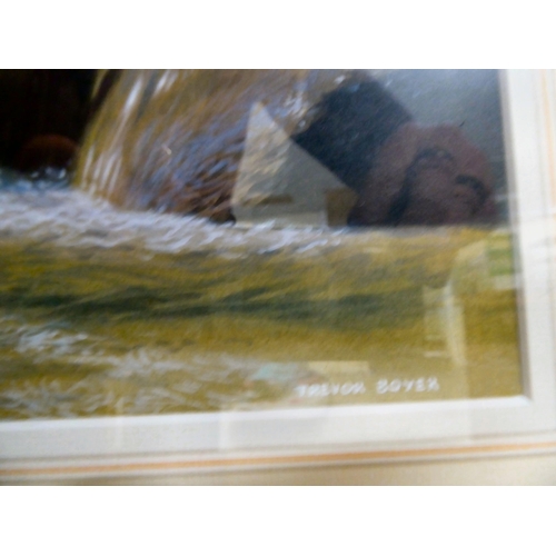 36 - Trevor Boyer - 'Dipper'  acrylic  bears a signature & a Wildlife Art Gallery label ver... 