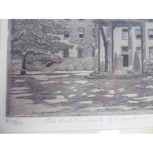 157 - After Don Swann - 'Old Well, University of North Carolina'  etching  bears a pencil title ... 