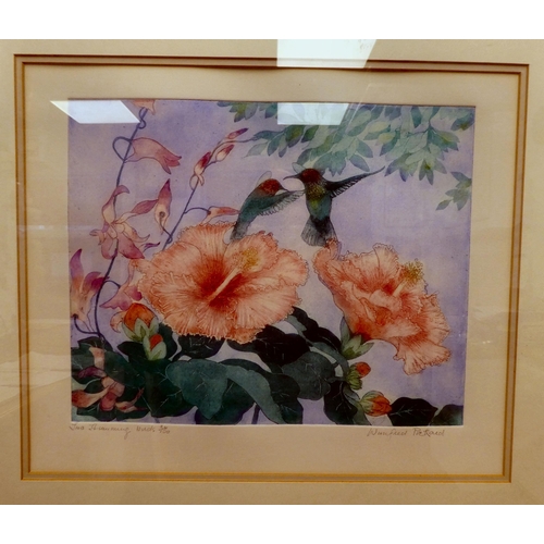 82 - Winifred Pickard - 'Two Hummingbirds'  etching with aquatint  bears a pencil inscription (24/100) &a... 