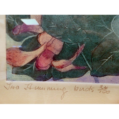 82 - Winifred Pickard - 'Two Hummingbirds'  etching with aquatint  bears a pencil inscription (24/100) &a... 