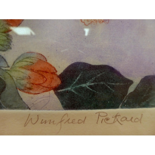 82 - Winifred Pickard - 'Two Hummingbirds'  etching with aquatint  bears a pencil inscription (24/100) &a... 