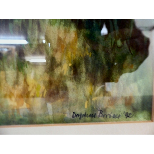 292 - Seven framed works by Daphne Boclase - mixed subjects and mediums  bearing signatures  &nb... 