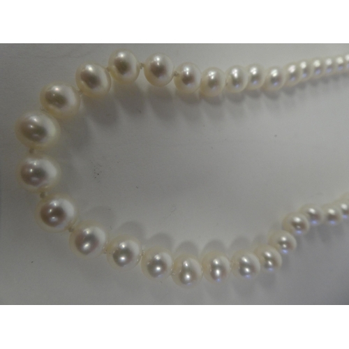 42 - Three single strand pearl necklaces, each on a yellow metal clasp