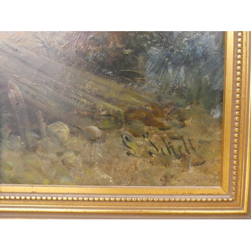 64 - S Schell - a European riverscape with a figure and a woodland with cattle  oil on canvas  ... 