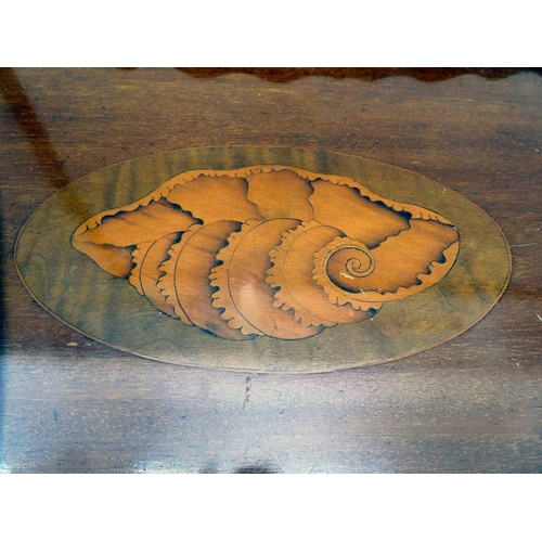 133 - A late Victorian/Edwardian mahogany galleried serving tray of serpentine outline with a central shel... 