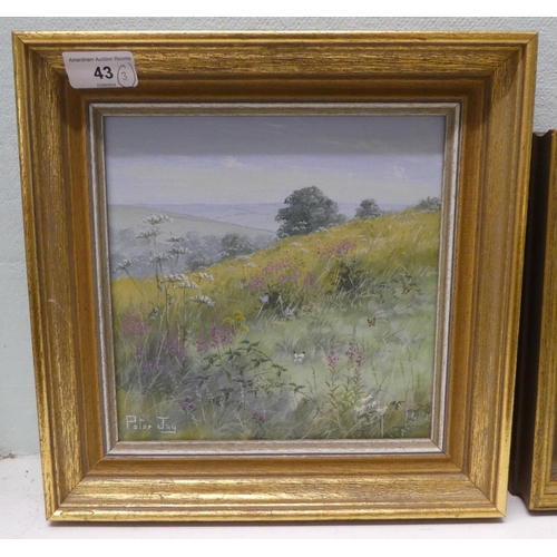 43 - Three works by Peter Jay - landscapes  oil on board  7