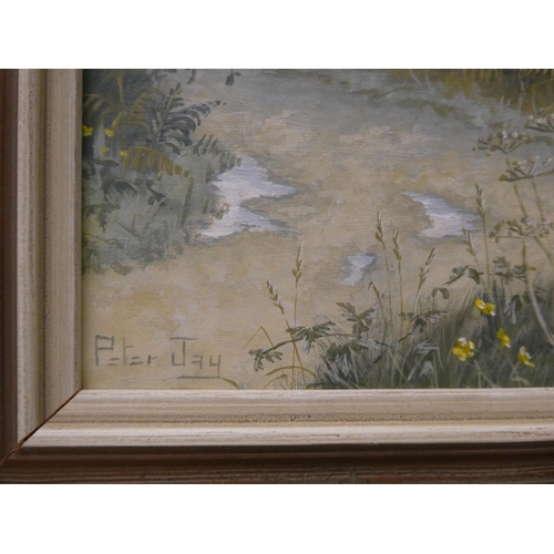 43 - Three works by Peter Jay - landscapes  oil on board  7