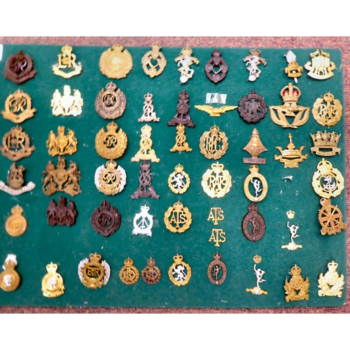 314 - Approx. seventy British military cap badges and other insignia, some copies: to include Military Foo... 