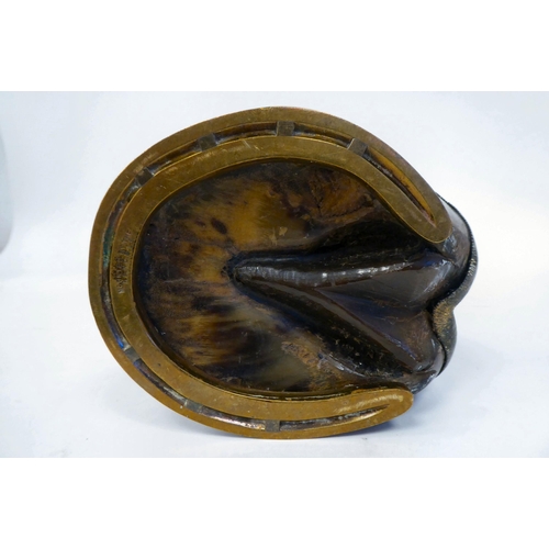 336 - An Edwardian lacquered brass mounted door porter, fashioned as a horse's hoof, the shoe inscribed 'M... 