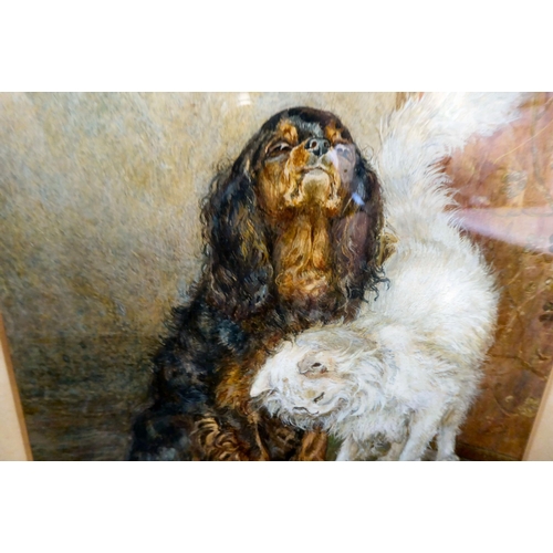 64 - 19thC British School - a study of a spaniel and a white cat  watercolour  bears an indisti... 