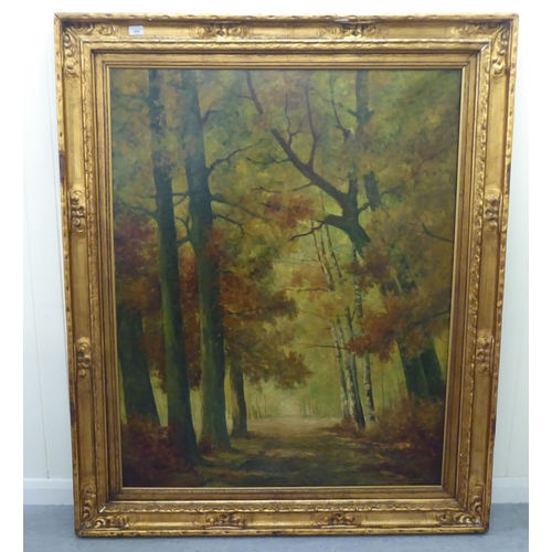 409 - Jef Riket - an autumnal woodland glade  oil on canvas  bears a signature  38