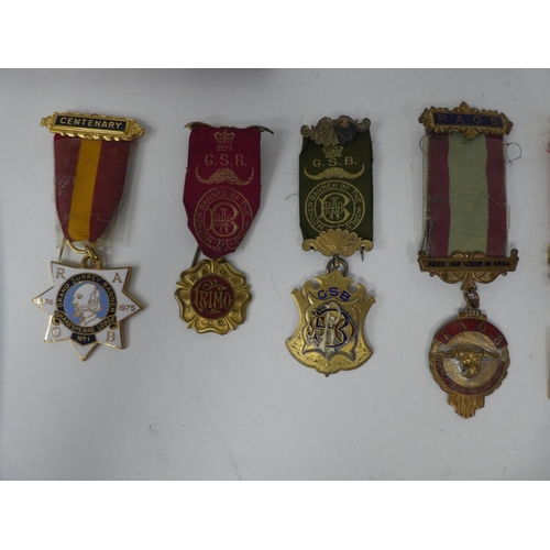 5 - Masonic themed badges and regalia