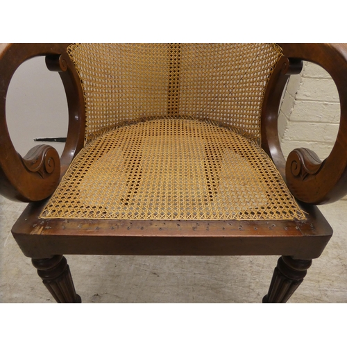 39 - A William IV mahogany framed bergere, the tub style back with a scrolled crest, a woven split cane b... 