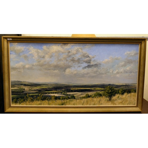 6 - Brian Bennett - a view from The Chiltern Hills, over the escapement towards the Vale of Aylesbury  o... 