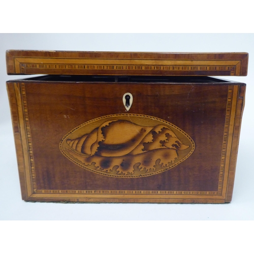 76 - An early 19thC satin mahogany, boxwood string inlaid and shell marquetry tea casket with straight si... 