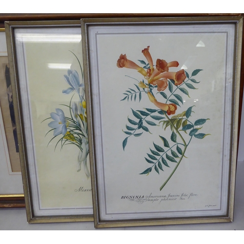 11 - Framed prints: to include botanical studies, period scenes and landscapes  mixed sizes