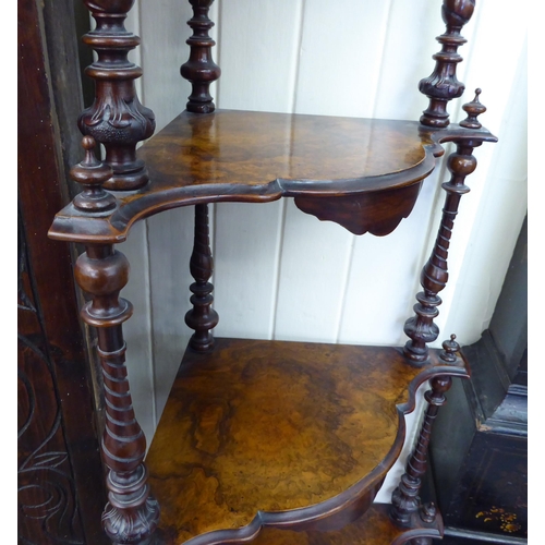 149 - A late Victorian burr walnut and mahogany, four tier corner what-not, raised on turned feet  55... 